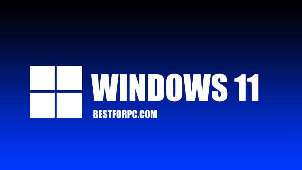 WINDOWS 11 LOGO